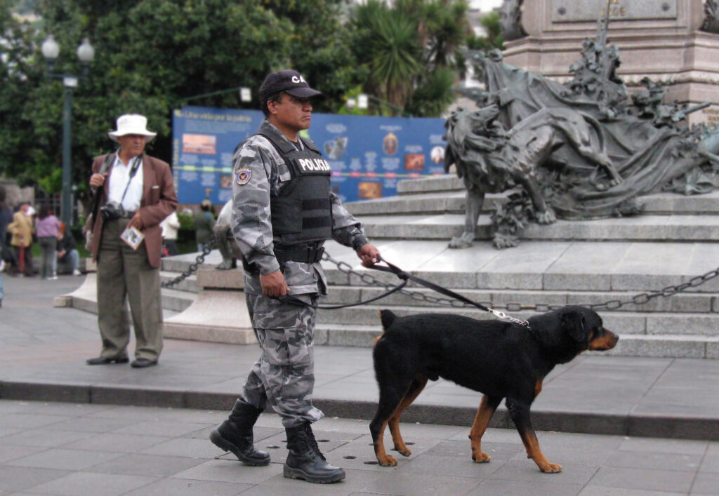 Miembro de la Policia Nacional de Ecuador patrulla por una plaza pública en Quito junto con un elemento de la unidad canina.